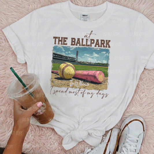 Softball Ball Field Single Print DTF Transfer