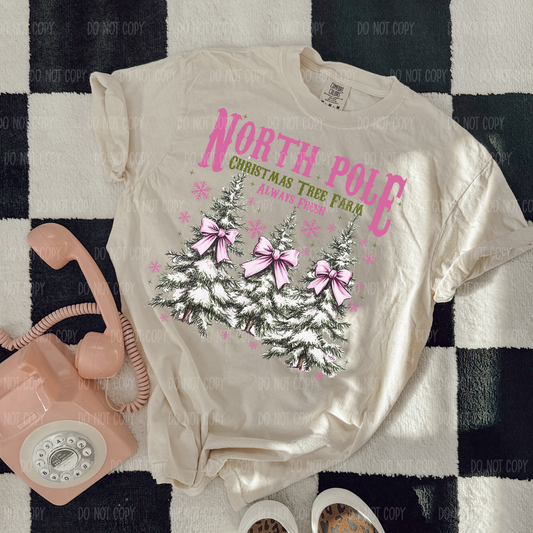 North Pole Single Print DTF Transfer