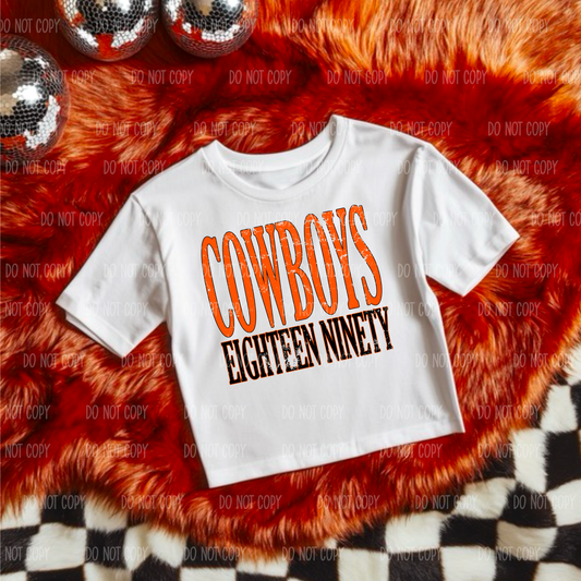Cowboys Tee or Sweatshirt