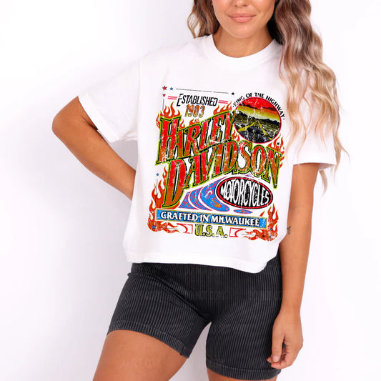 Harley Tee Or Sweatshirt