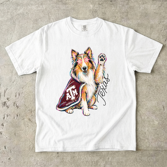 Maroon Texas Single Print DTF Transfer