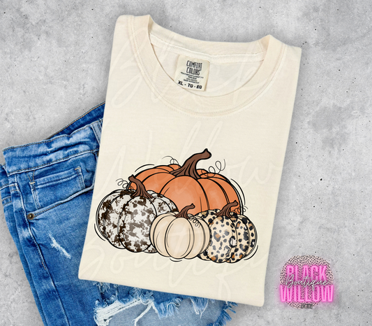 Fall Pumpkins