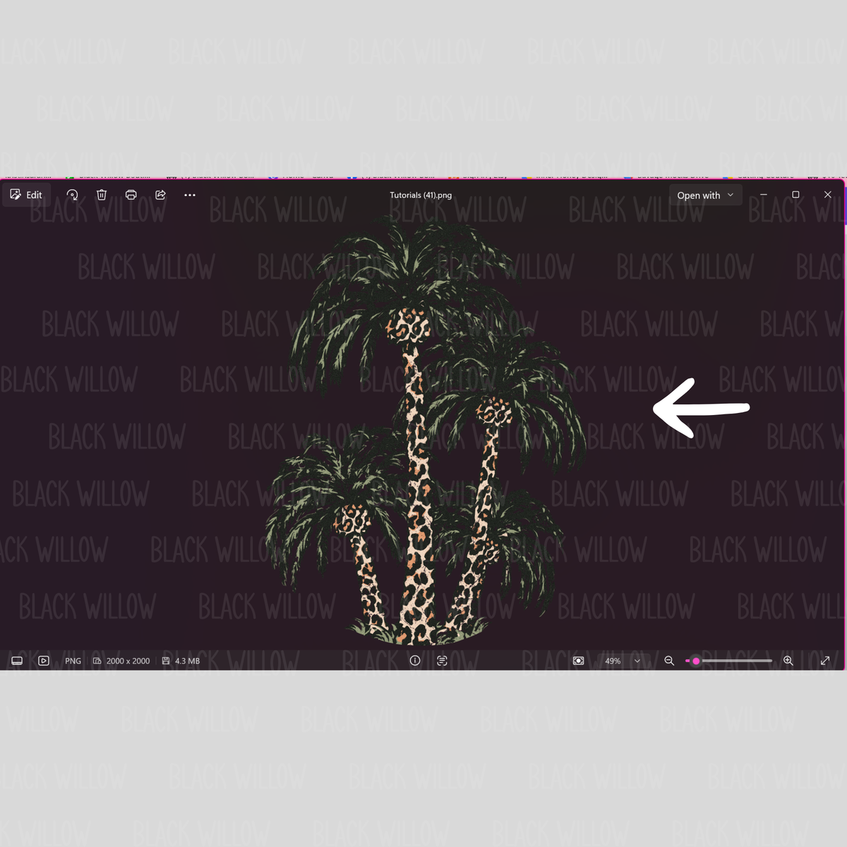 How Do I Know If My File Has A Transparent Background? – Black Willow ...